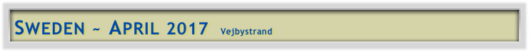 SWEDEN ~ APRIL 2017  Vejbystrand