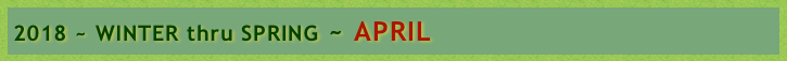 2018 ~ WINTER thru SPRING ~ APRIL