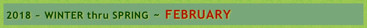 2018 ~ WINTER thru SPRING ~ FEBRUARY