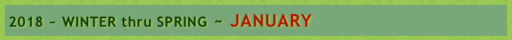 2018 ~ WINTER thru SPRING ~ JANUARY