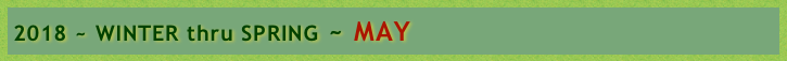 2018 ~ WINTER thru SPRING ~ MAY