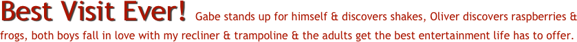 Best Visit Ever! Gabe stands up for himself & discovers shakes, Oliver discovers raspberries & frogs, both boys fall in love with my recliner & trampoline & the adults get the best entertainment life has to offer. 