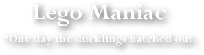 Lego Maniac
“One day the ducklings hatched out. 

